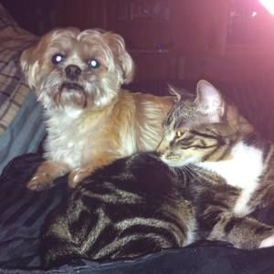 Meet your Posher, Bonnie